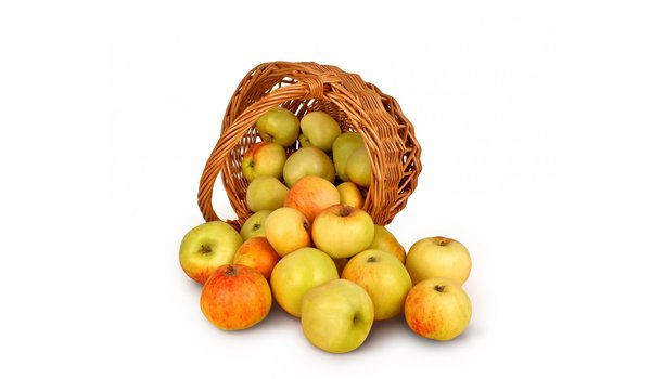 Обои на рабочий стол: корзинка, урожай, яблоки