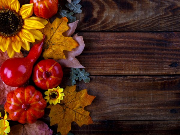 autumn, background, colorful, leaves, maple, pumpkin, wood, доски, клён, листья, осенние, осень, тыква, фон