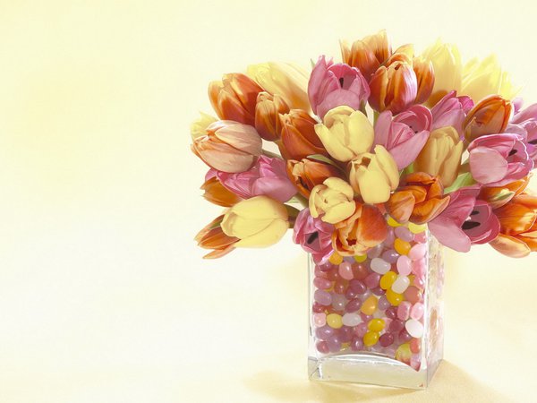 ваза, тюльпаны, цветы