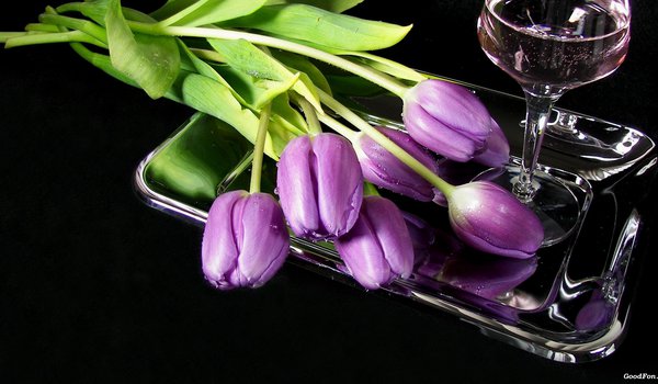 Обои на рабочий стол: бокал, вино, поднос, тюльпаны, цветы
