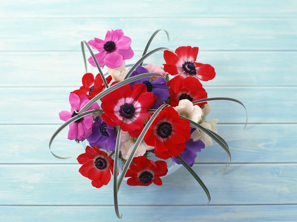 beauty, flowers, букет, композиция, красный, стол, цветы