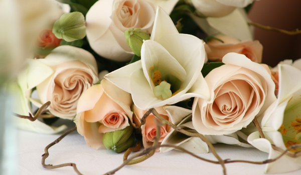 Обои на рабочий стол: красиво, розы, романтика, свадьба, цветы