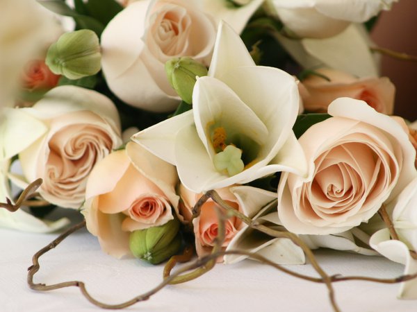 красиво, розы, романтика, свадьба, цветы