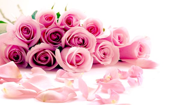 Обои на рабочий стол: нежно, розовые, розы