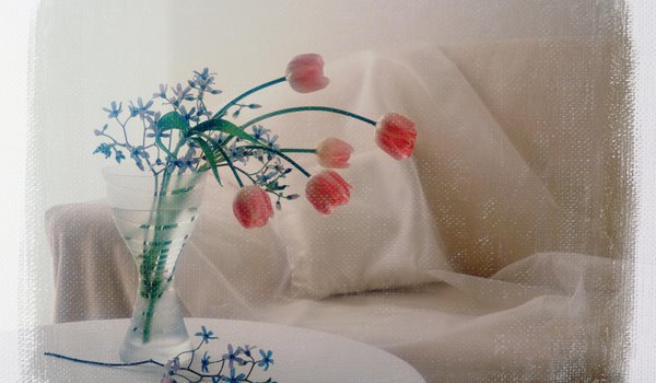 Обои на рабочий стол: букет, ваза, диван, обработка, подушка, тюльпаны, фото, цветы