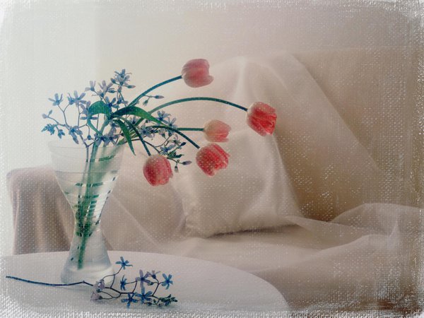 букет, ваза, диван, обработка, подушка, тюльпаны, фото, цветы