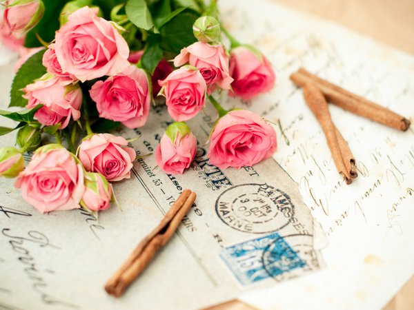 beauty, bouquet, cool, letter, love, lovely, memories, nice, photography, pink, romance, romantic, rose, roses, still life, букет, букеты, воспоминания, любовь, письмо, розовый, розы, романтика, цветок, цветы