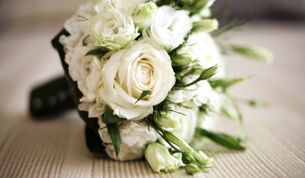 Обои на рабочий стол: roses, белые, букет, розы