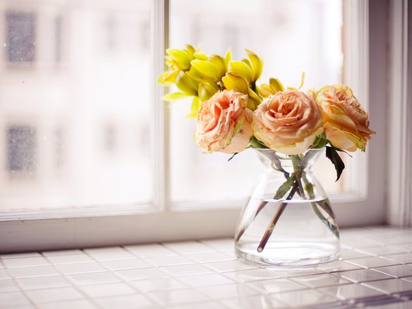 букет, ваза, розы, цветы