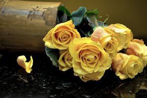 Обои на рабочий стол: букет, желтые, розы, цветы