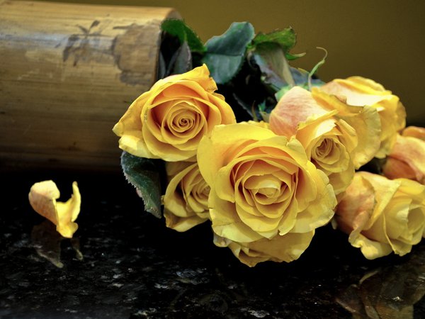 букет, желтые, розы, цветы