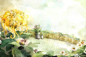 Обои на рабочий стол: ведро, забор, рисунок, ромашки, хризантемы, цветы