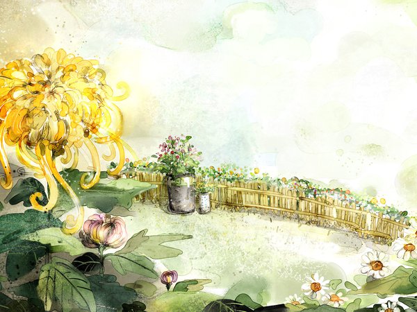 ведро, забор, рисунок, ромашки, хризантемы, цветы