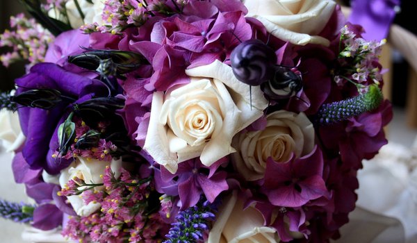 Обои на рабочий стол: гортензия, розы, фиолетовый, цвет, цветок, цветы, эустома