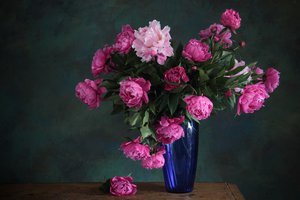 Обои на рабочий стол: букет, ваза, пионы, розовые, синяя, цветы
