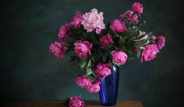 Обои на рабочий стол: букет, ваза, пионы, розовые, синяя, цветы