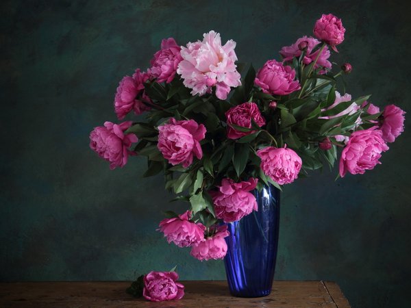 букет, ваза, пионы, розовые, синяя, цветы