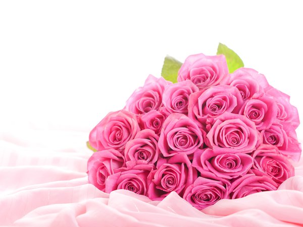 hd wallpapers, hd обои, widescreen wallpapers, букет, бутоны, заставки для рабочего стола, листки, лучшие обои для рабочего стола, обои для рабочего стола, обои для рабочего стола бесплатно, обои на рабочий стол, обои скачать бесплатно, розовые розы, розовые цветы, розы, скачать обои, ткань, цветы, шелк, шикарный, широкоформатные обои, широкоэкранные обои