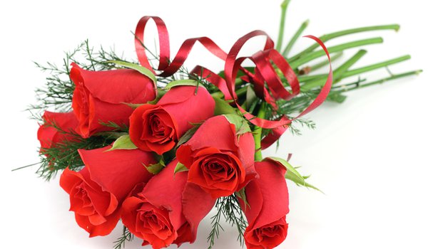 Обои на рабочий стол: белый фон, букет, красные, ленточка, розы, цветы