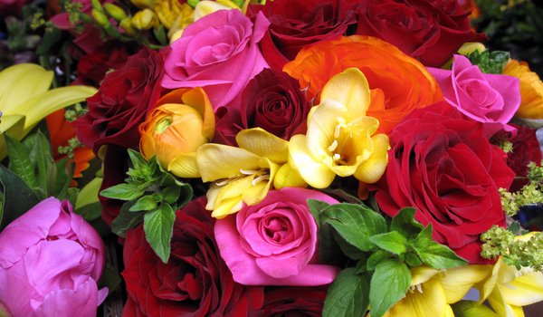 Обои на рабочий стол: букет, красные, оранжевые, розовые, розы, цветок, цветы