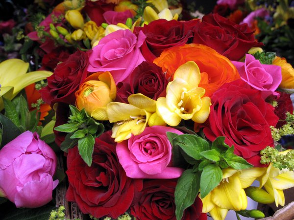 букет, красные, оранжевые, розовые, розы, цветок, цветы