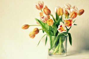 Обои на рабочий стол: ваза, оранжевые, тюльпаны, цветы