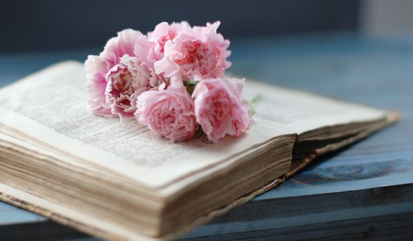 Обои на рабочий стол: гвоздики, книга, розовые, старая, страницы, цветы