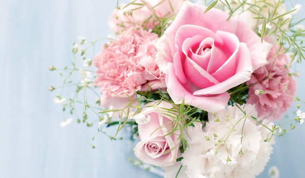 Обои на рабочий стол: белые, букет, гвоздики, розовые, розы, цветы