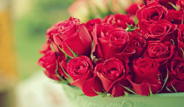 Обои на рабочий стол: букет, розы, цветы