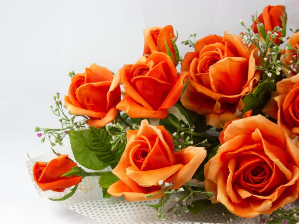 flowers, rose, букет, оранжевый, розы, цвет, цветы