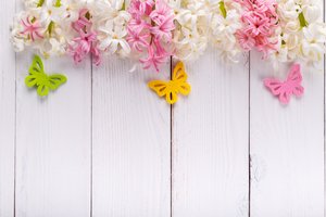 Обои на рабочий стол: butterflies, flowers, pink, spring, wood, бабочки, гиацинты, розовые, цветы