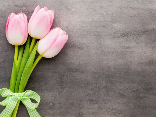 beautiful, flowers, fresh, pink, spring, tulips, букет, розовые, тюльпаны, цветы