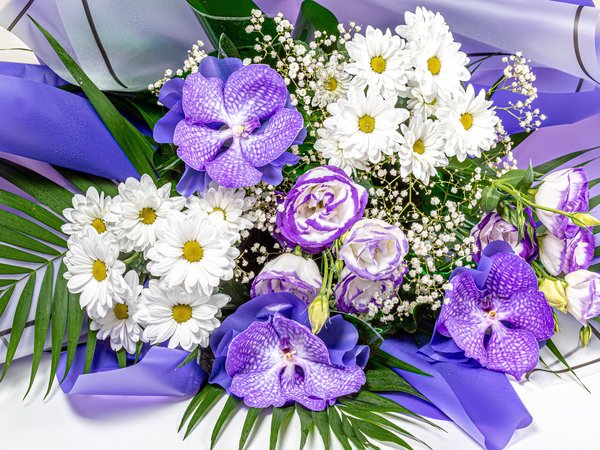 букет, орхидеи, фото, хризантемы, цветы, эустома