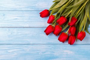 Обои на рабочий стол: flowers, fresh, red, romantic, spring, tulips, wood, букет, красные, тюльпаны, цветы