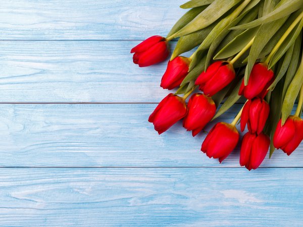 flowers, fresh, red, romantic, spring, tulips, wood, букет, красные, тюльпаны, цветы