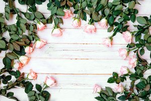 Обои на рабочий стол: flowers, fresh, pink, romantic, roses, tender, wood, бутоны, розовые, розы, цветы