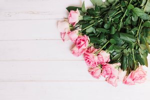 Обои на рабочий стол: flowers, fresh, pink, romantic, roses, tender, wood, букет, бутоны, розовые, розы, цветы