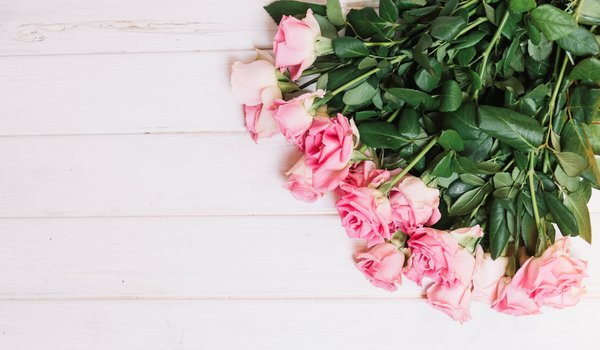 Обои на рабочий стол: flowers, fresh, pink, romantic, roses, tender, wood, букет, бутоны, розовые, розы, цветы