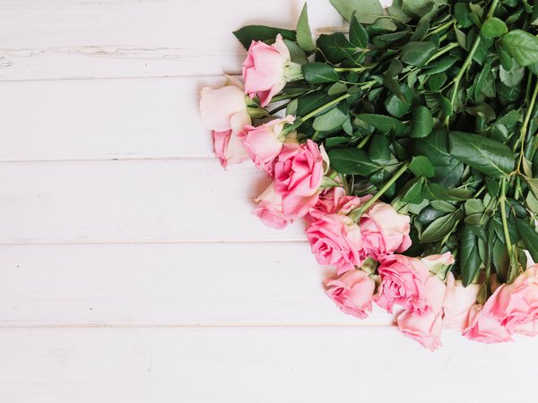 flowers, fresh, pink, romantic, roses, tender, wood, букет, бутоны, розовые, розы, цветы
