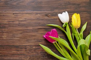Обои на рабочий стол: colorful, gift, romantic, tulips, wood, букет, тюльпаны, цветы