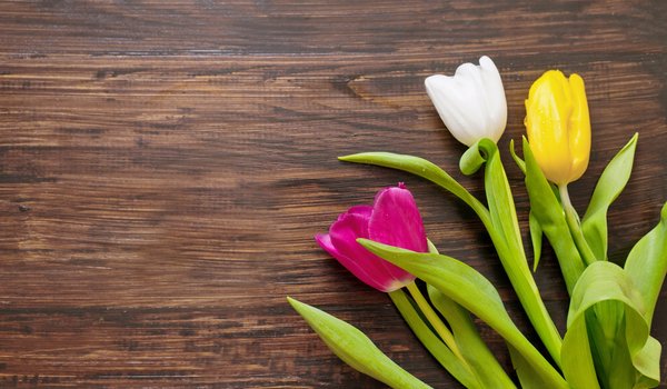 Обои на рабочий стол: colorful, gift, romantic, tulips, wood, букет, тюльпаны, цветы