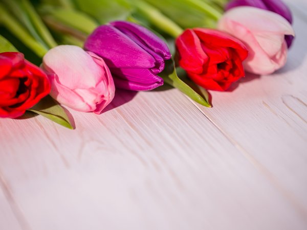 colorful, flowers, purple, red, spring, tulips, white, wood, букет, тюльпаны, цветы