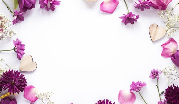 Обои на рабочий стол: Floral, flowers, frame, petals, purple, лепестки, рамка, цветы