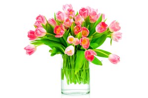Обои на рабочий стол: flowers, fresh, gift, love, pink, romantic, tulips, букет, розовые тюльпаны, тюльпаны