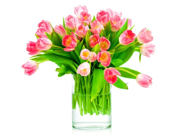 flowers, fresh, gift, love, pink, romantic, tulips, букет, розовые тюльпаны, тюльпаны