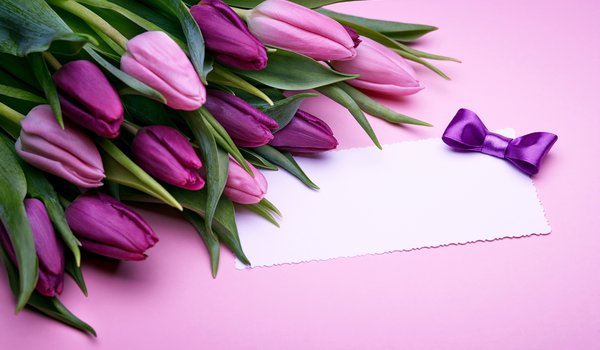Обои на рабочий стол: flowers, fresh, gift, love, pink, purple, romantic, tulips, бант, букет, розовые, тюльпаны