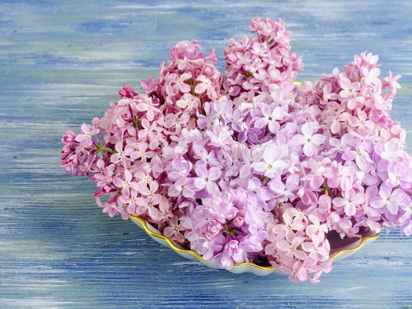 flowers, lilac, wood, сирень, цветы