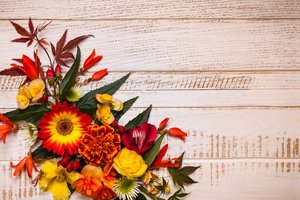 Обои на рабочий стол: autumn, Floral, flowers, frame, leaves, wood, композиция, листья, осень, цветы