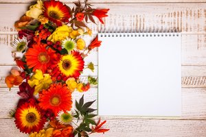 Обои на рабочий стол: autumn, Floral, flowers, leaves, wood, композиция, листья, осень, цветы