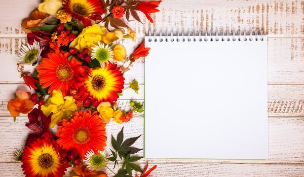 Обои на рабочий стол: autumn, Floral, flowers, leaves, wood, композиция, листья, осень, цветы